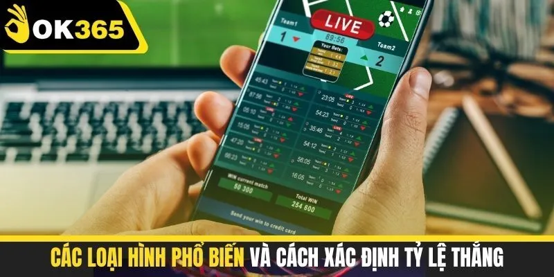 Các loại hình phổ biến và cách xác định tỷ lệ thắng