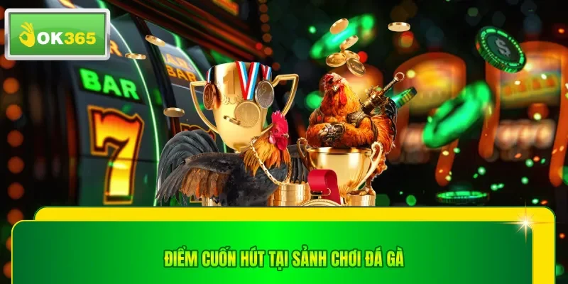 Điểm cuốn hút tại sảnh chơi đá gà