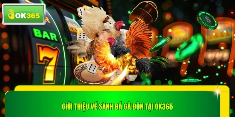 Giới thiệu về sảnh đá gà đòn tại OK365